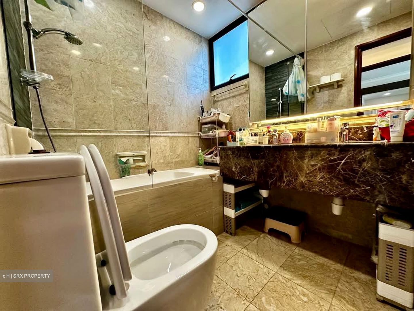 Parc Oasis (D22), Condominium #573097111